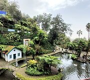 Madeira