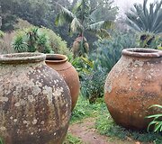 Madeira