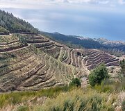 Madeira