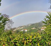 Madeira