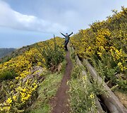 Madeira