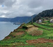 Madeira