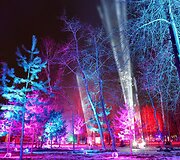 &bdquo;Magic Forrest&ldquo; &scaron;viesų festivalis 