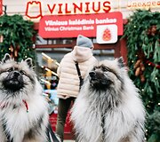 Vilniaus kalėdiškiausia diena