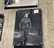 &bdquo;Vilko guolis&ldquo; Lenkijoje