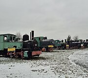 Garvežiai i&scaron;siriakiavę lyg kareiviai