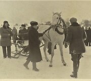 Sartų žirgų lenktynės