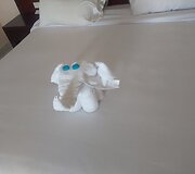 Atostogos Brayka įlankoje