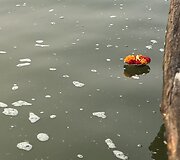 Varanasis, Indija