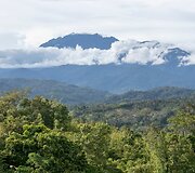 Kinabalu kalnas, Borneo, Malaizija