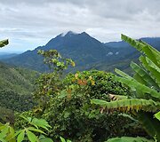 Kinabalu kalnas, Borneo, Malaizija