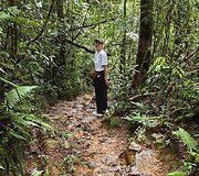 Kinabalu parko takeliais paskui Ingą, Borneo, Malaizija