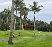 Golfo aik&scaron;tynas, Borneo, Malaizija