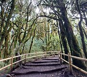 La Gomera