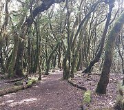 La Gomera