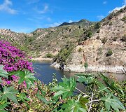 La Gomera