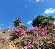 La Gomera