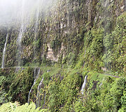 Bolivija