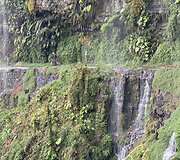 Bolivija