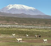 Bolivija