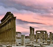 Palmyra
