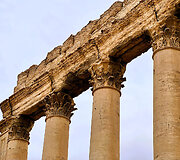Palmyra