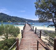 Borneo sala