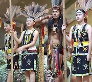 Borneo sala