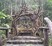 Borneo sala