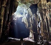 Gomantongo urve, Borneo sala
