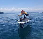 Sapi sala