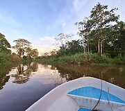 Borneo sala