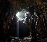 Borneo sala