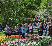 Burbi&scaron;kio dvaro festivalis &bdquo;Tulpių žydėjimo &scaron;ventė&ldquo;