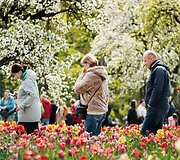 Burbi&scaron;kio dvaro festivalis &bdquo;Tulpių žydėjimo &scaron;ventė&ldquo;