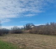 Palėvenės vienuolynas