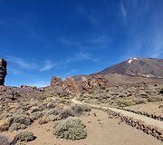 Tenerifė