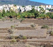 Tenerifė