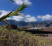 Tenerifė