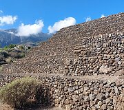 Tenerifė