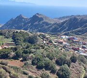 Tenerifė