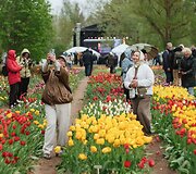 Burbi&scaron;kio dvaro festivalio &bdquo;Tulpių žydėjimo &scaron;ventė&ldquo; akimirkos, 2026 m.
