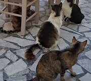 Balio miestelis, Kreta, Graikija