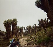 Tanzanija