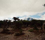 Tanzanija