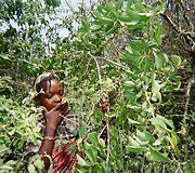 Tanzanija