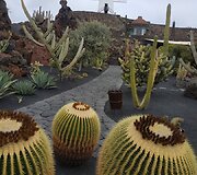 Ivetos atostogos Kanaruose