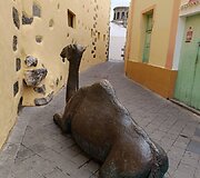 Ivetos atostogos Kanaruose