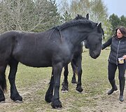 &bdquo;Žirgų oazė&ldquo;, Ramunė Radavičienė