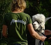 &bdquo;Alpakalnis&ldquo; 